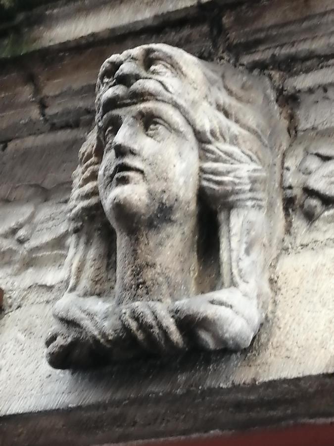 Logis Du Cagaire Apartamento Le Puy-en-Velay Exterior foto